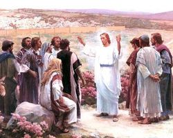 "Who Do You Say I Am?" - Who did Jesus really claim to be?