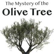 The Mystery of the Olive Tree: Foreword