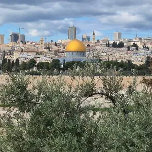 Catholic Group Asks Pope Leo to Clarify Church's Stance on Israel