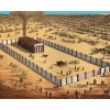 A14 - Israel in the Desert: From Sinai to the Promised Land (Lev-Num-Deut)