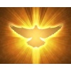 A28 - The Holy Spirit: God Pours into Us His Life and Love